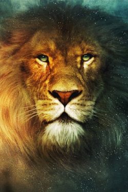Aslan the lion of Narnia