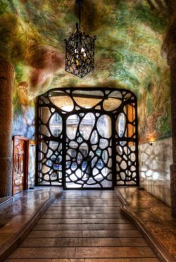 The Architecture of Gaudi