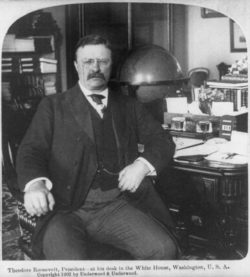 President Theodore Roosevelt at his electromagnetically unshielded office in the White House