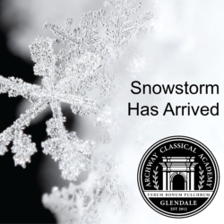Snowstorm has arrived and is open for donations