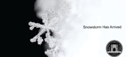 Snowstorm Website Banner