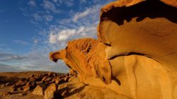 Rock that looks like an eagle